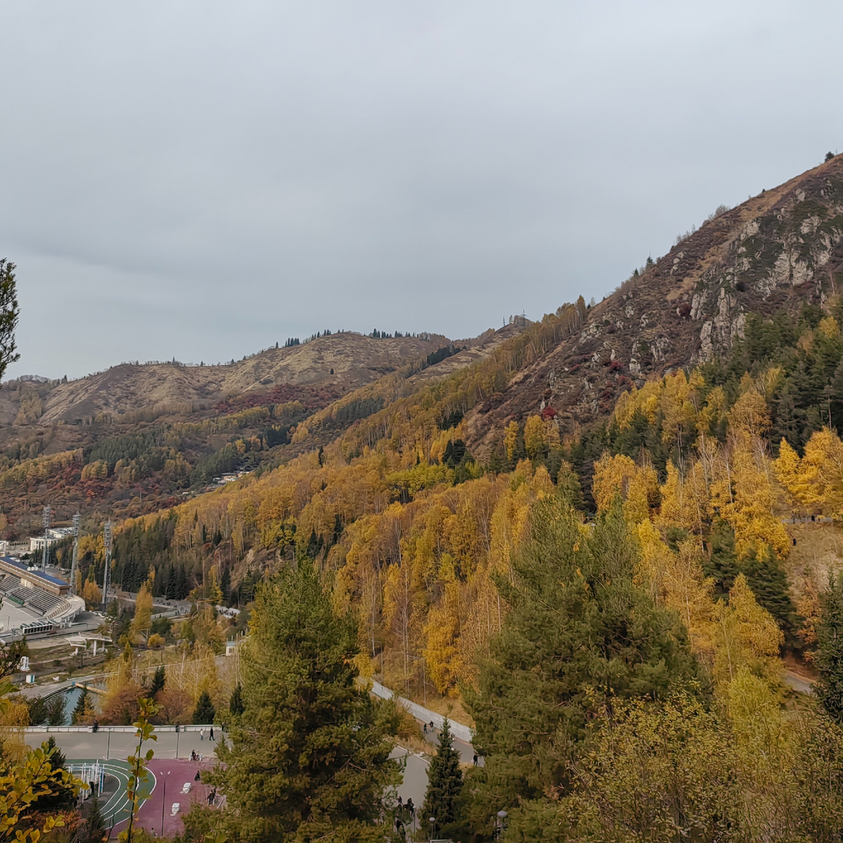 Виды. Считаю, что это прекрасно 😍