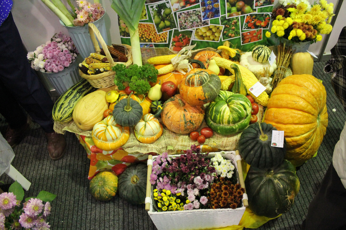 Фото Артема Илошваи, dzen.ru