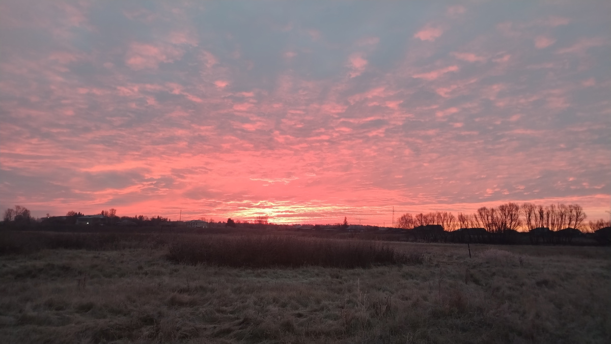 Вот оно, чудо мироздания 