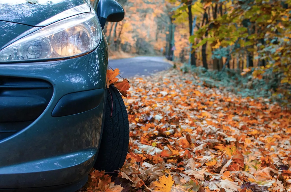 Фото: © Adobe Fotostock