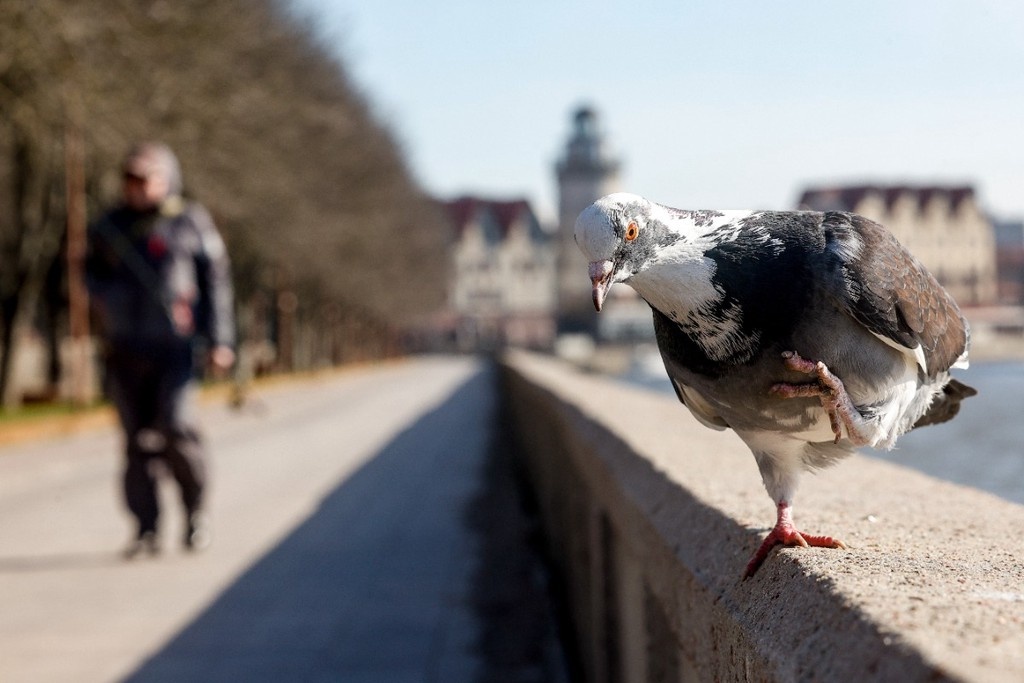    Фото © Виталий Невар / ТАСС