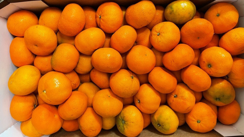    пресс-служба Северо-Западного межрегионального управления Россельхознадзора