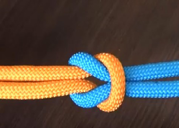 Фото  из свободного источника.