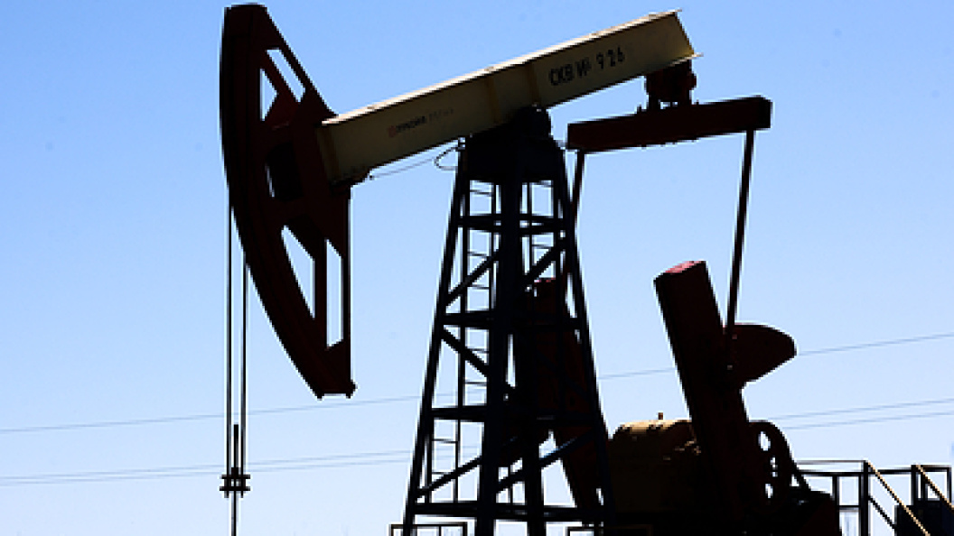    Фото: Elena Mayorova/Globallookpress