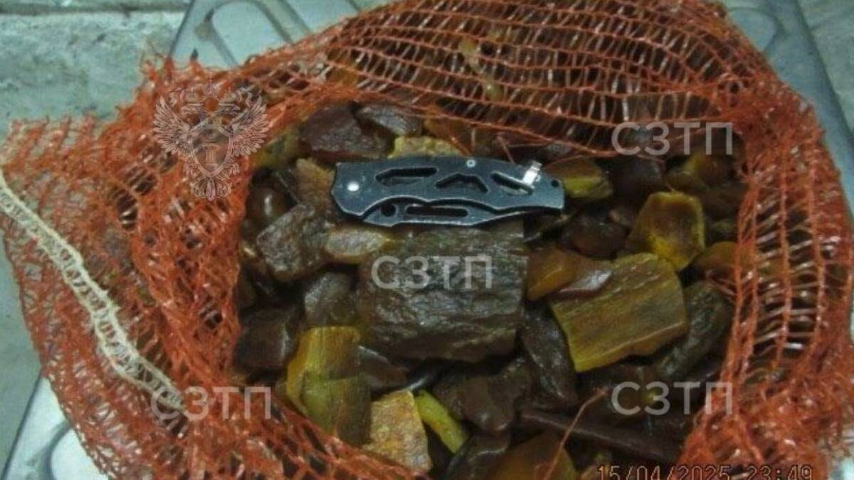    Фото: пресс-служба Северо-Западной транспортной прокуратуры / Telegram