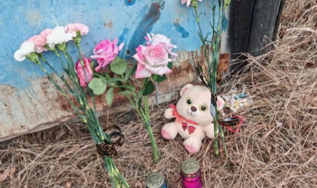    Фото: скриншот с видео, источник: trk7.ru