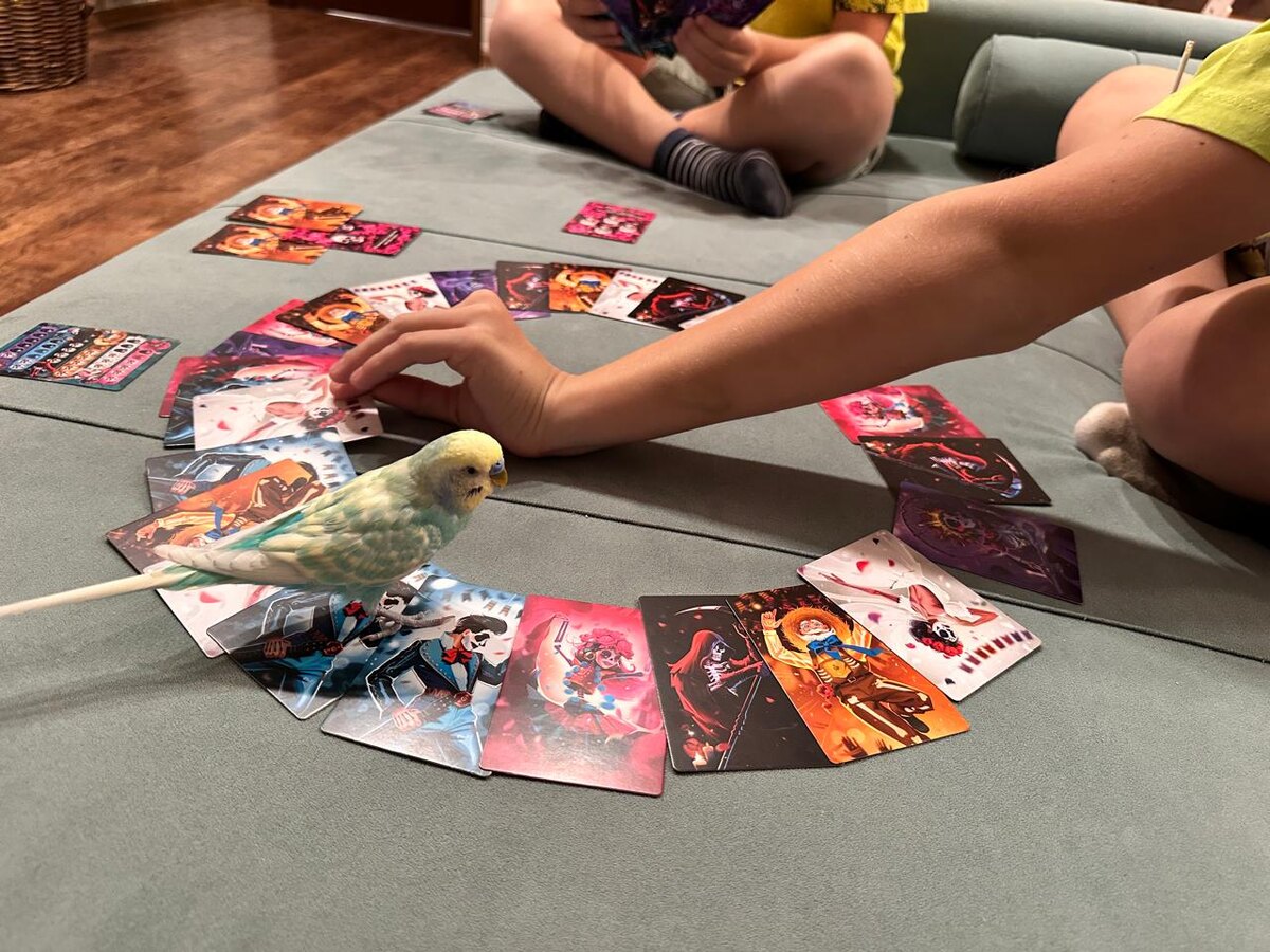 Рокки у нас тоже любитель игр