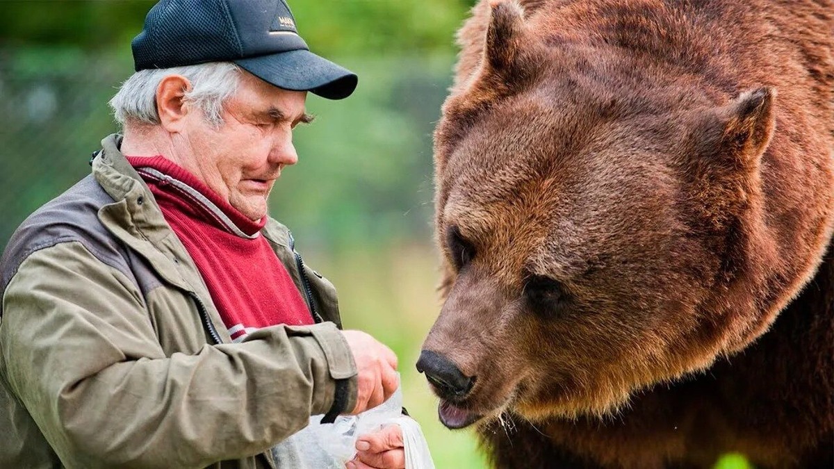 Фото из Яндекса