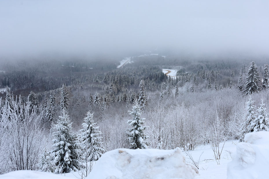    Elena Mayorova/Global Look Press