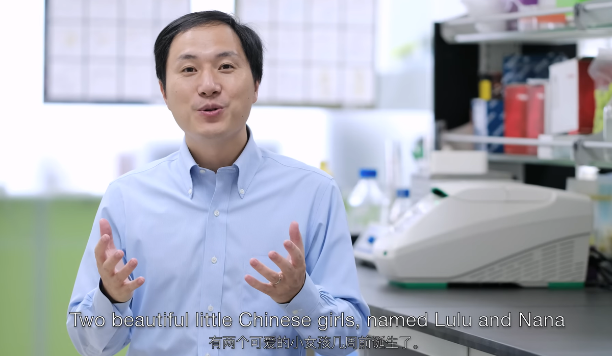 Кадр из видео About Lulu and Nana... / The He Lab