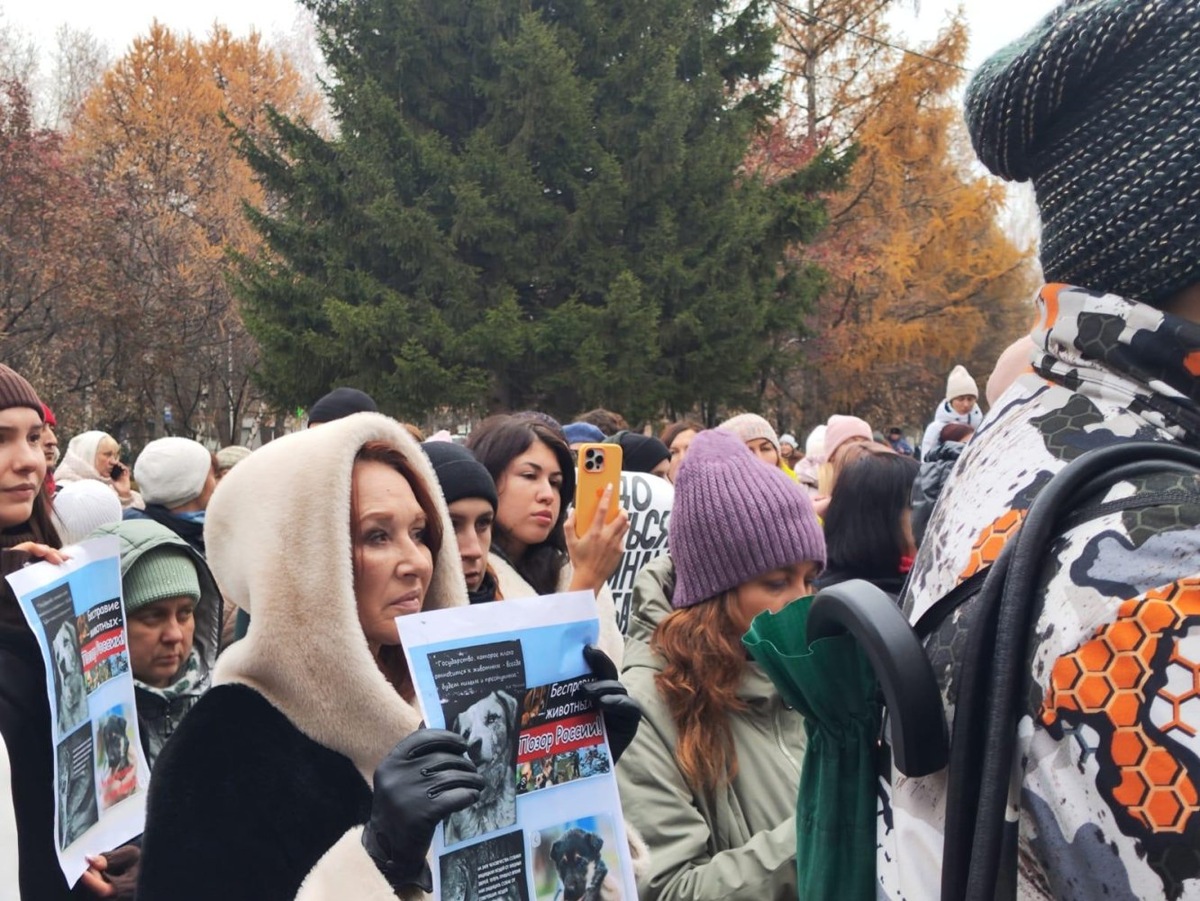    В Новосибирске прошел митинг против законопроекта об эвтаназии бездомных собак