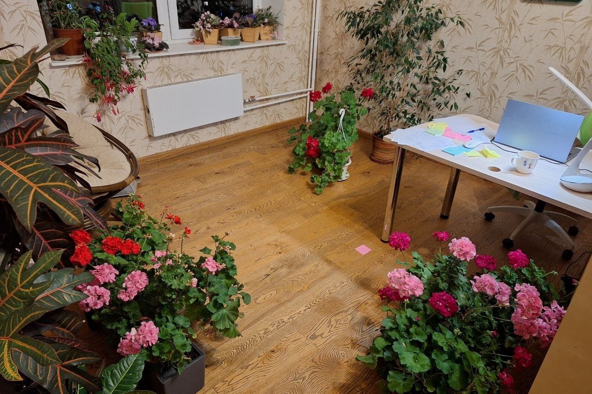 Собственное фото. Что лучше, оригинал, или ИИ-Ван Гог?)