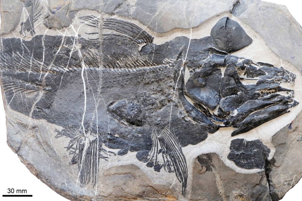    Dai et al., doi: 10.1038/s41598-025-20229-w