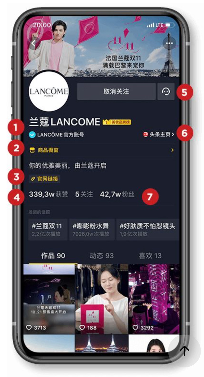 Пример профиля бренда в китайском Тик токе