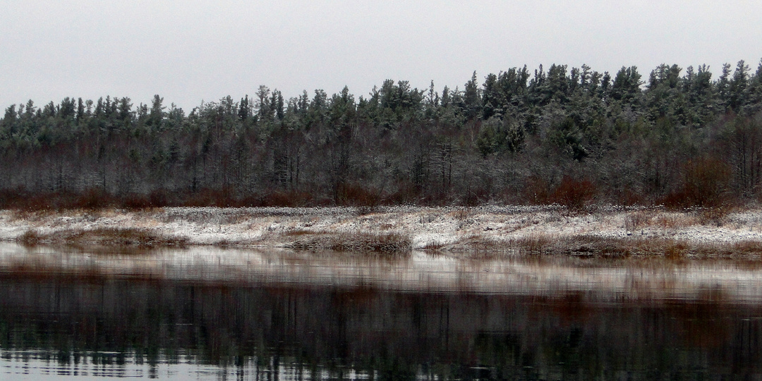 Рыба, по которой можно сверять часы. Клюет, как по расписанию