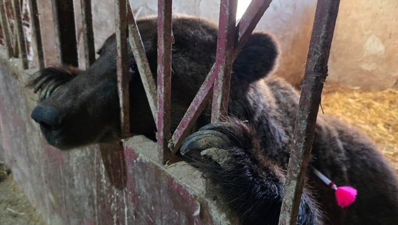      Фото: Росприроднадзор