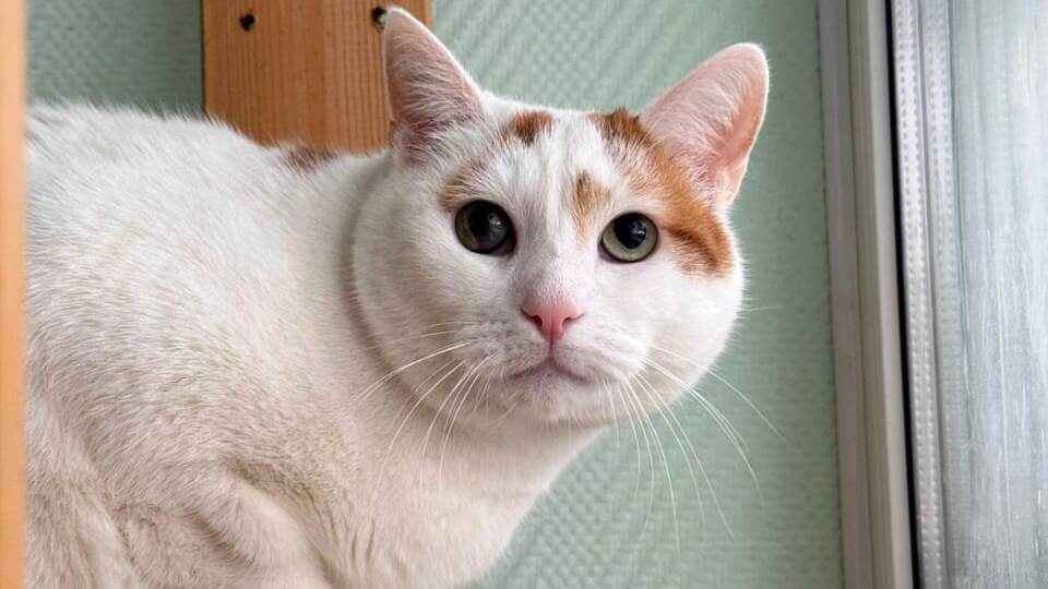 ГОД на балконе в полном одиночестве