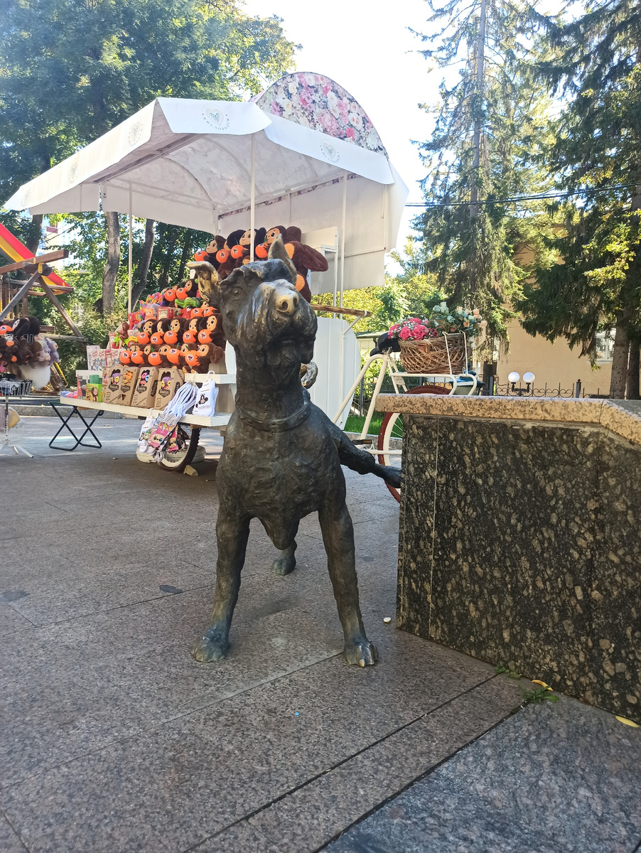 Писающий пес