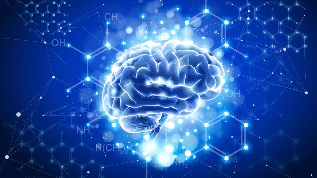 Изображение: Shutterstock