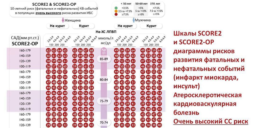 Холестерин: простые советы, которые спасут вашу жизнь (без юления и воды)