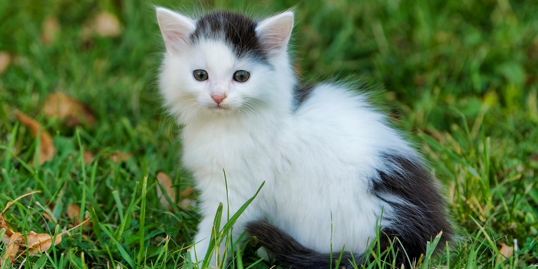 Вот мы и встретились…