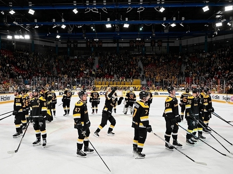     Фото: ХК "Северсталь"