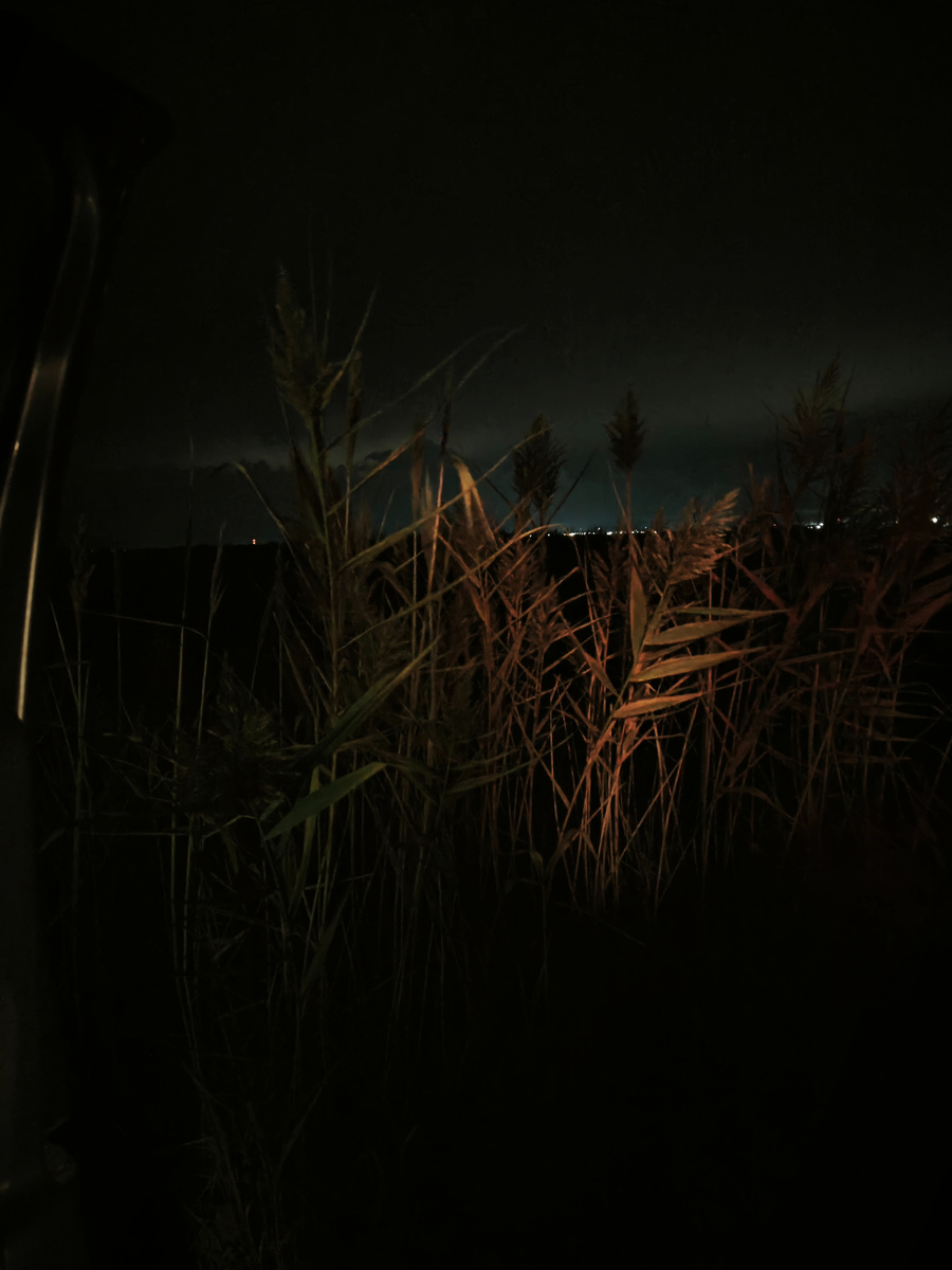 Ждем спасателей на поле ночью