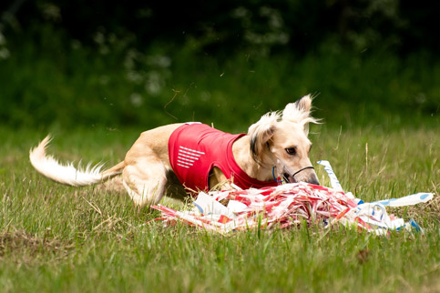 Сэхра Эль Мен Лелап