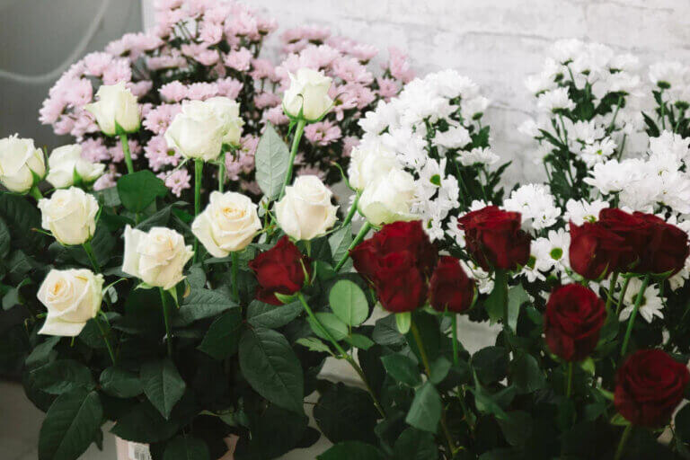    Фото: Общественная Служба Новостей Марта Леви