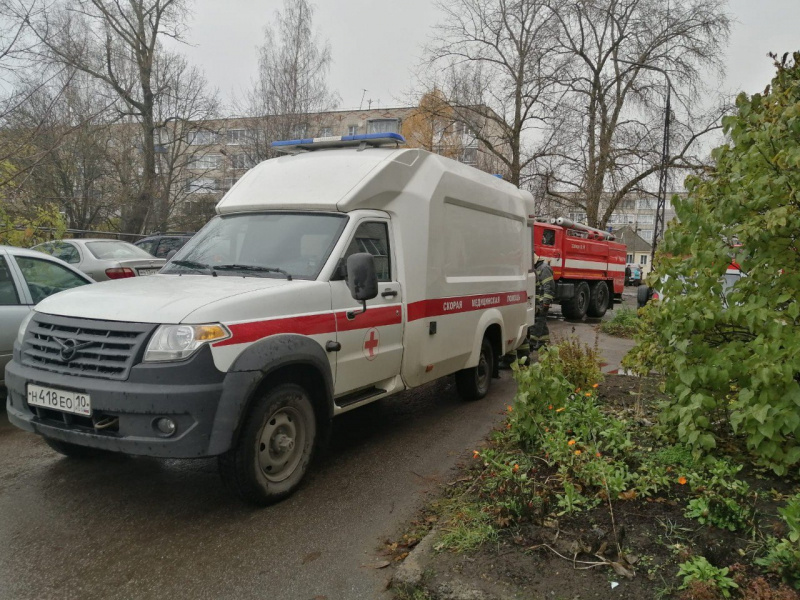    Пожарные в Пудоже донесли тяжелую пенсионерку до машины скорой помощиГоскомитет по безопасности РК