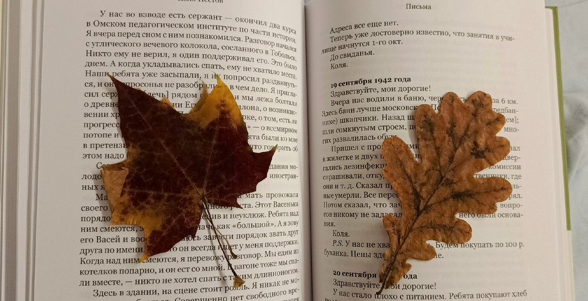 Осеннее воспоминание из дома, путешествуют со мной листочки