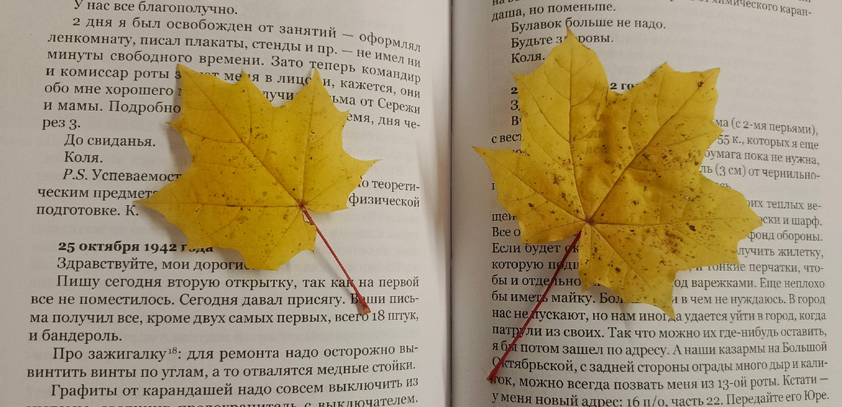 Новые жители книги, собранные на днях