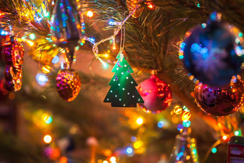 Serhii Hrebeniuk / Shutterstock / FOTODOM📷Новогодние загадки подарят атмосферу праздника