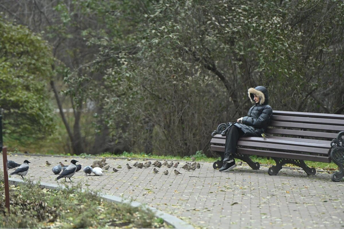    Фото: Анастасия Сибирякова