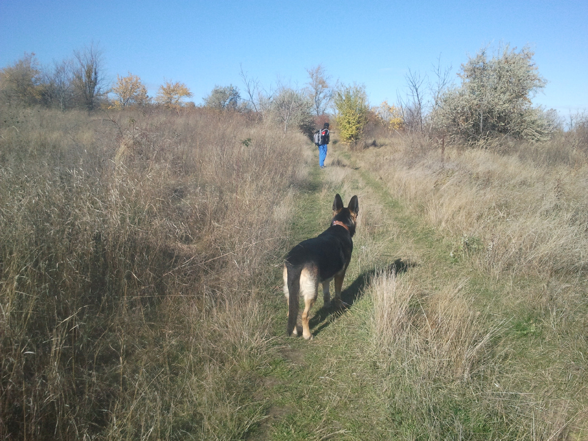 Фото автора