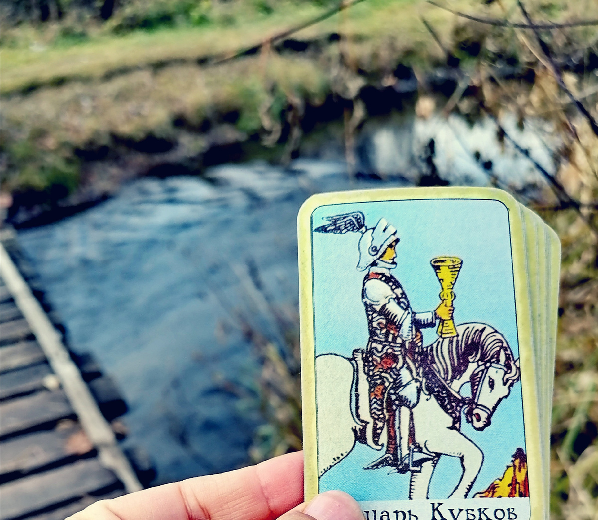 И такая любовь, похоже, что уже в пути... 