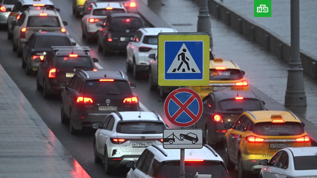    Фото: РИА Новости © 2025, Кирилл Каллиников