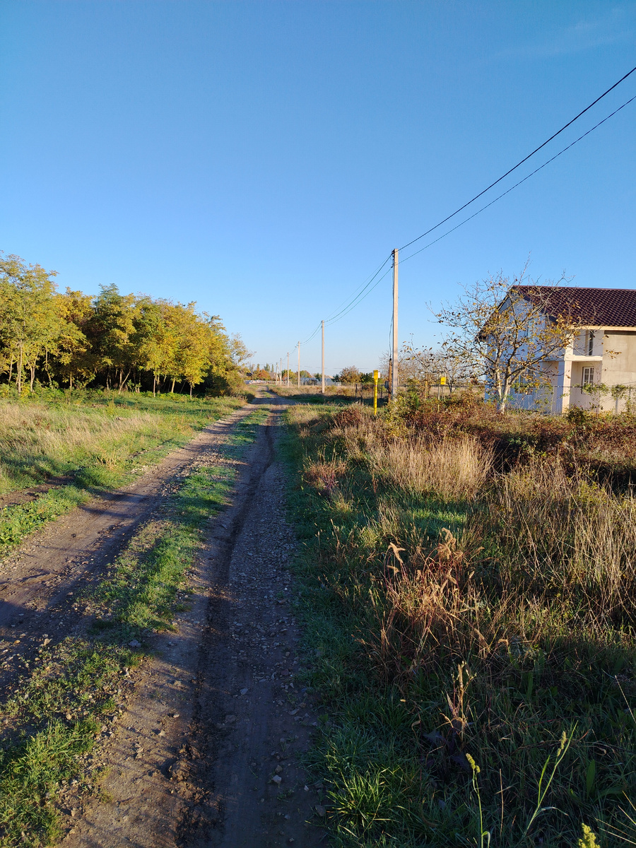 Роща перед домом 