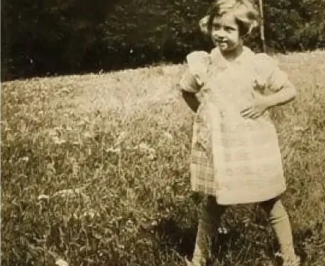 Из открытых источников