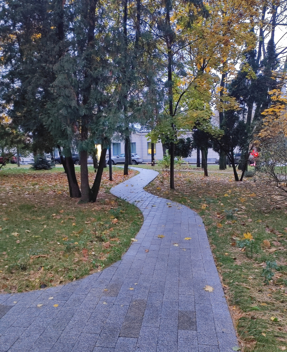 Извилистая дорожка на территории ЦОАП.