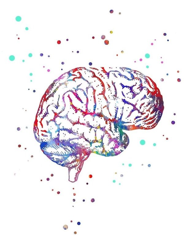 Слушая любимую песню, мы заставляем «загораться» целую сеть областей мозга, отвечающих за удовольствие, эмоции и память.