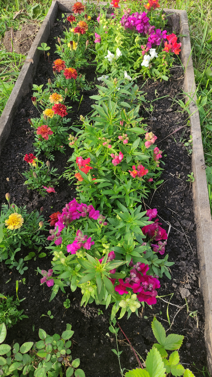 фото от 2 июля