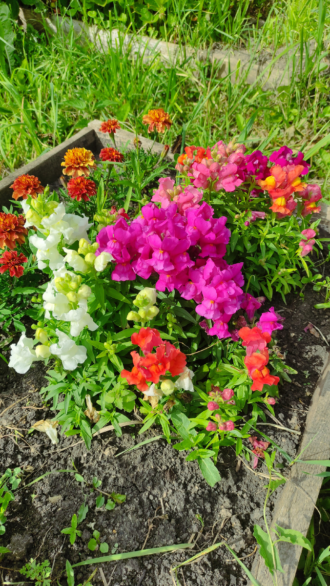 фото от 6 иля