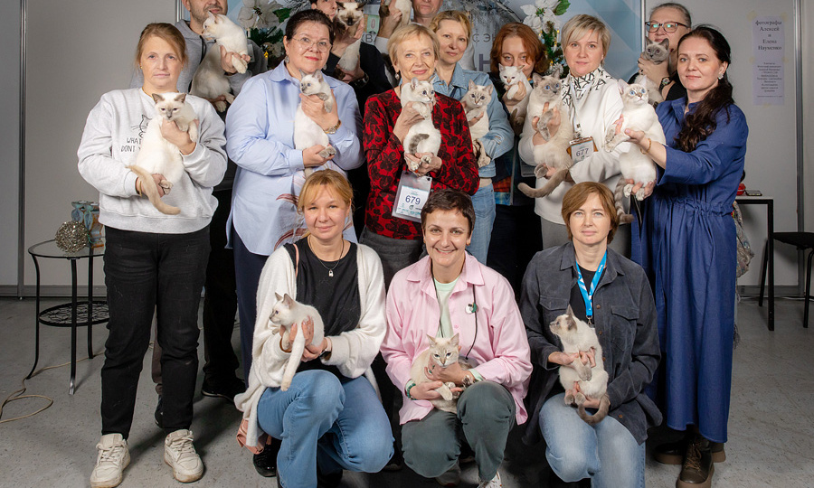 Для чего мы ходим с кошками на выставки?