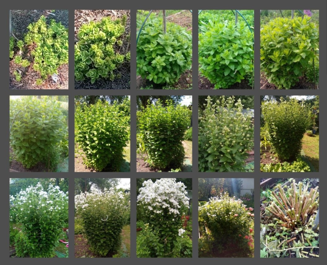 Картинка для обложки статьи