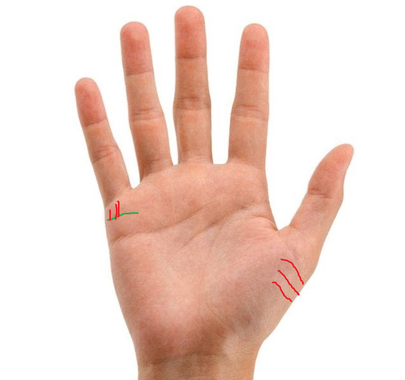 Детские линии на холме Венеры. 