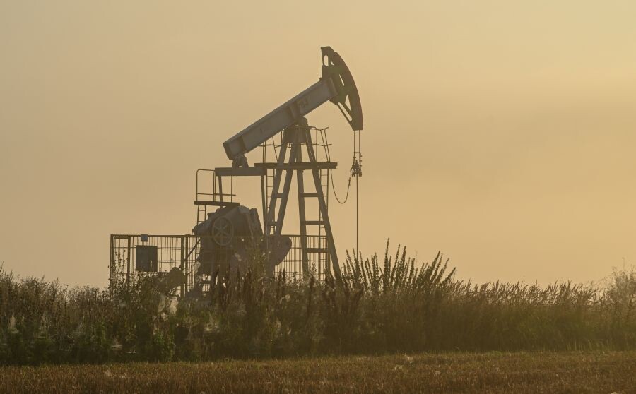     / Источник: © Максим Богодвид/РИА Новости