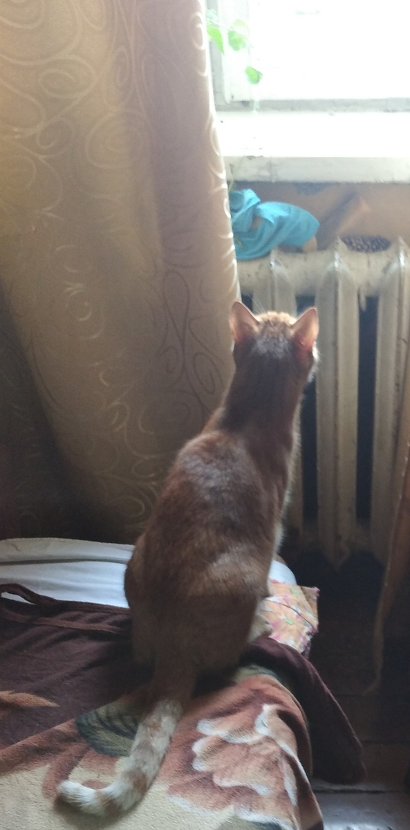 личное фото