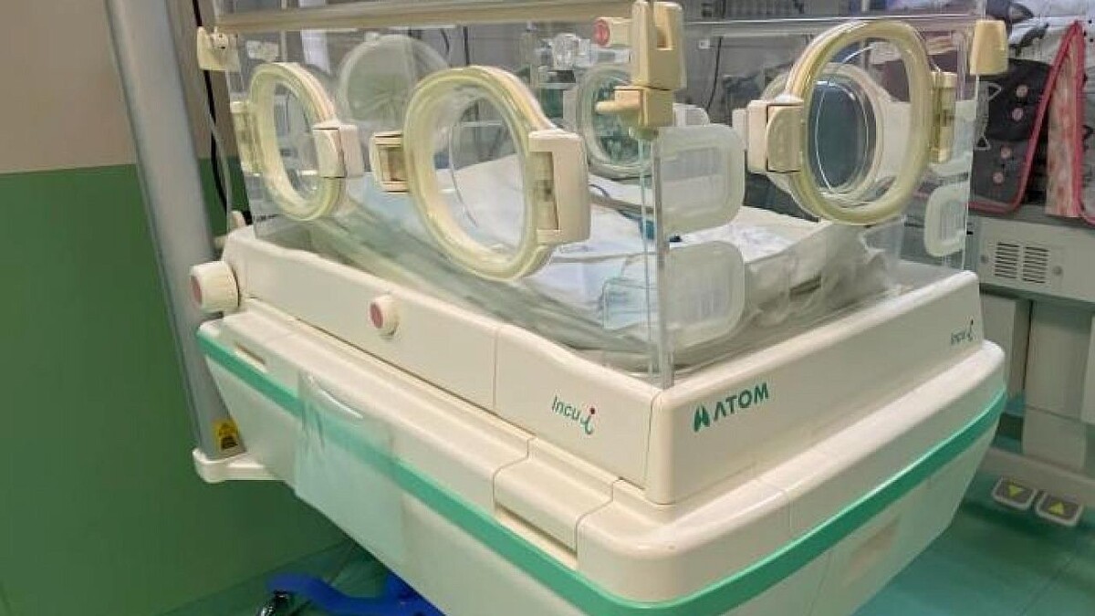    Фото: телеканал «Краснодар»