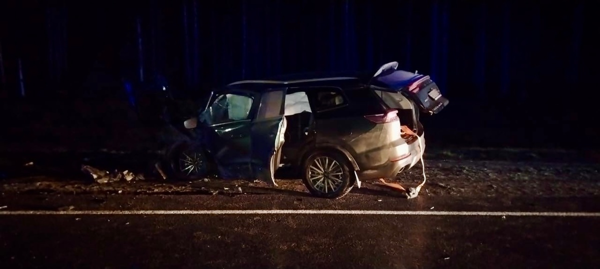    Четыре человека пострадали в ДТП на трассе в Карелии© Госкомитет Карелии по безопасности